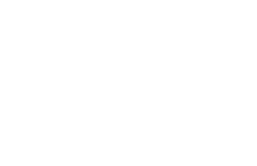 SEO Vendor